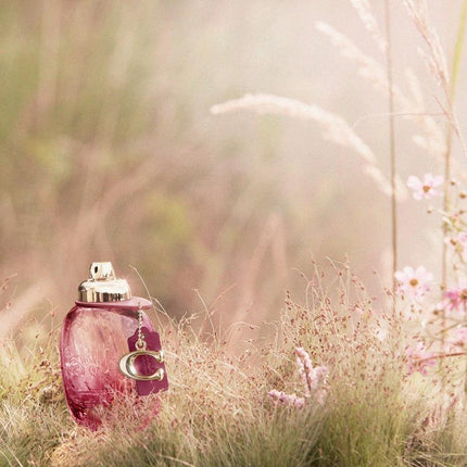 Coach Coach Wild Rose Eau de Parfum Spray 3.0 fl. oz, 3 fl. oz.