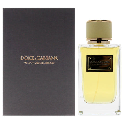 Velvet Mimosa Bloom by Dolce and Gabbana for Women - 5 oz EDP Spray | Luxury Floral Fragrance