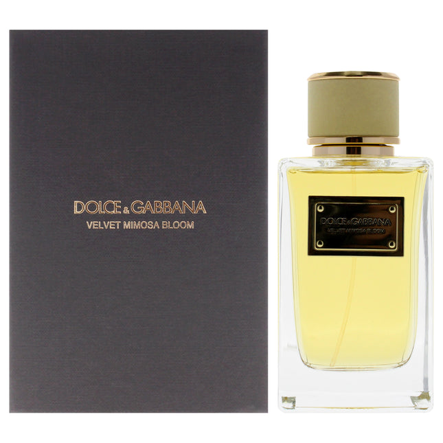 Velvet Mimosa Bloom by Dolce and Gabbana for Women - 5 oz EDP Spray