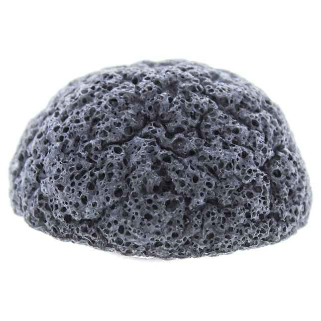 Erborian Charcoal Konjac Sponge for Women - 3.5 oz Sponge: Deep Cleansing and Exfoliating Beauty Tool