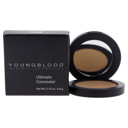 Youngblood Ultimate Concealer in Medium Warm Shade for Flawless Coverage - 0.1 oz Concealer for Women