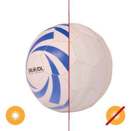 DelSol Mini Soccer Ball: Unisex Ball for Soccer Enthusiasts