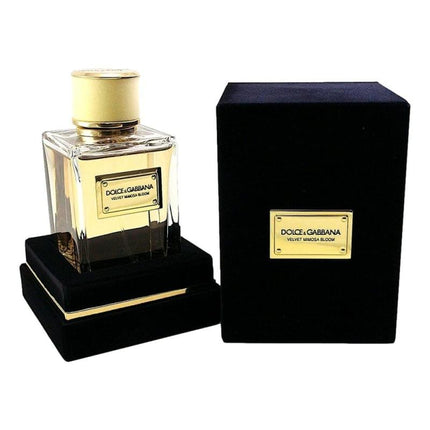 Velvet Mimosa Bloom By Dolce &amp; Gabbana, 5 Oz Eau De Parfum Spray For Women