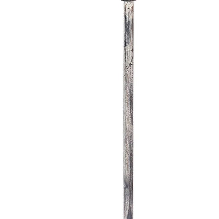 CTW Home Collection 420039 Garden Stake Birdfeeder