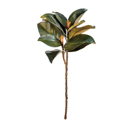 CTW 366014 Magnolia Leaf and Bud Stem, 24-inch Height, Green