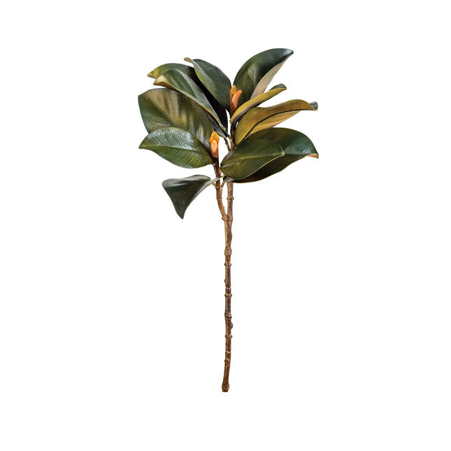 CTW 366014 Magnolia Leaf and Bud Stem, 24-inch Height, Green