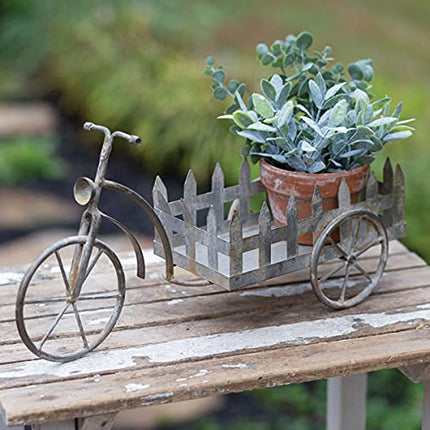 CTW Home Collection 440104 Tabletop Trike Flower Cart