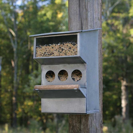 Colonial Tin Works Backyard Buddies Birdfeeder (Grey) (1)