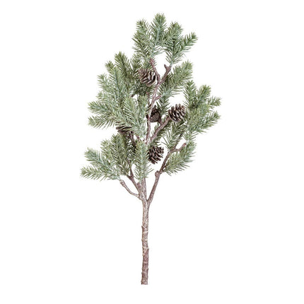 Pine Branch with Cones
