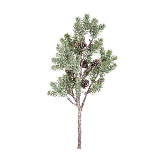 Pine Branch with Cones