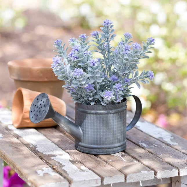 CTW Home Collection Mini Watering Can