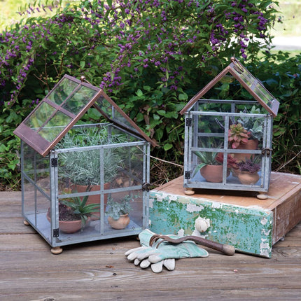 CTW Home Collection Glass Farmhouse Terrariums, Set of 2, Outdoor Plant Cover