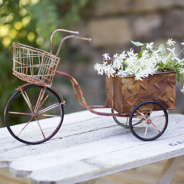 CTW Home Collection Delivery Trike Planter