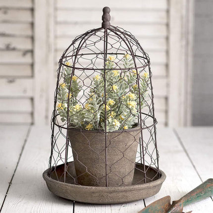 CTW Home Collection Chicken Wire Cloche with Terra Cotta Pot and Saucer Brown 10  Diameter x 15.5  Height