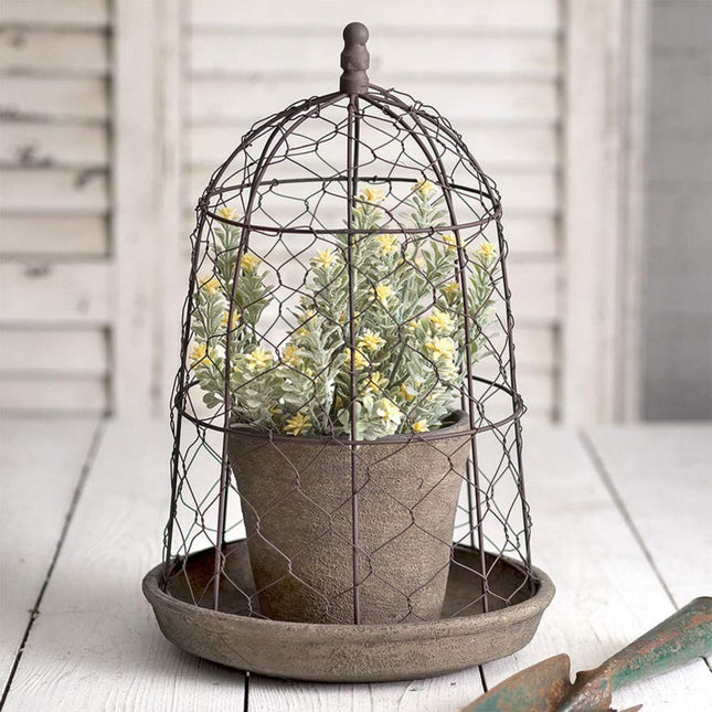 CTW Home Collection Chicken Wire Cloche with Terra Cotta Pot and Saucer Brown 10  Diameter x 15.5  Height