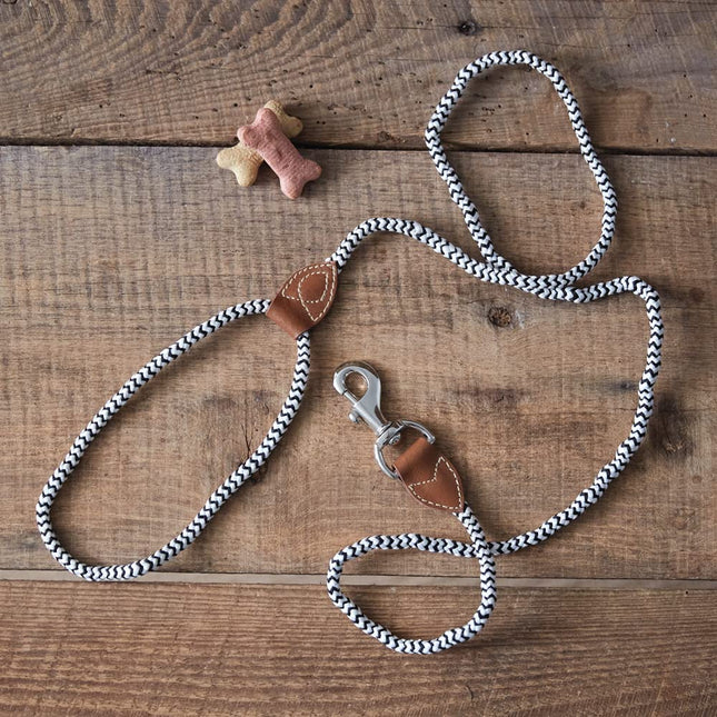 CTW Home Collection Braided Nylon and Leather Leash, 5-Foot, Nylon, Dog Accessories, Pet, Training Tools